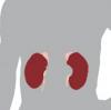 kidney-vi-tri.jpg